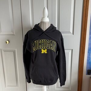 Michigan Charcoal Grey Hoodie, M